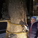 ���������� ������, ���� ������� �����, 46 ���, ������������ ��� ����� � ���������, c�������� ���������