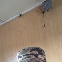  ,   , 43 ,   ,   , c 