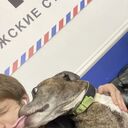 ���������� ������, ���� ������� ���� ��� ��, 27 ���, ������������ ��� ������, ����� � ���������