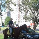 ���������� �����-���������, ���� ������� ������, 44 ����, ������������ ��� ������, ����� � ���������