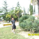 ���������� ���������� �����, ���� ������� �������, 44 ����, ������������ ��� ������