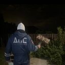 ���������� ���������, ���� ����� ����, 20 ���, ������������ ��� ������, ����� � ���������