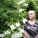 ���������� �����, ���� ������� �������, 68 ���, ������������ ��� ������, ����� � ���������