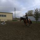 ���������� �����-���������, ���� ������� �����, 41 ���, ������������ ��� ������, ����� � ���������, c�������� ���������