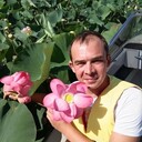 ���������� ����, ���� ������� ���������, 46 ���, ������������ ��� ����� � ���������, c�������� ���������