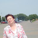 ���������� �����, ���� ������� �������, 66 ���, ������������ ��� ����� � ���������, c�������� ���������