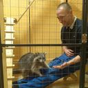 ���������� ������, ���� ������� �������, 38 ���, ������������ ��� ������, ����� � ���������, c�������� ���������