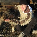 ���������� ����������, ���� ������� �������, 38 ���, ������������ ��� ������, ����� � ���������, c�������� ���������, ���������