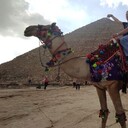 ���������� ���������, ���� ������� �������, 37 ���, ������������ ��� ������, ����� � ���������