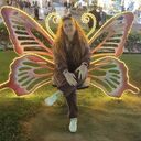 ���������� �����������, ���� ������� ������, 49 ���, ������������ ��� ������, ����� � ���������