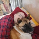  ,   Sergey, 52 ,   ,   