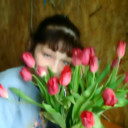  ,   , 51 ,     , c 