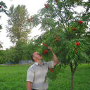 ���������� �����, ���� ������� ����� ������, 50 ���, ������������ ��� ������, ����� � ���������