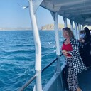 ���������� ������, ���� ������� �������, 56 ���, ������������ ��� ����� � ���������