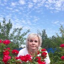 ���������� ������, ���� ������� �������, 51 ���, ������������ ��� ����� � ���������, c�������� ���������