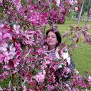  -,   , 59 ,   ,   , c , 