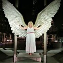 ���������� ������, ���� ������� ����, 65 ���, ������������ ��� ������, ����� � ���������, c�������� ���������