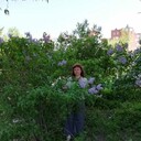  ,   , 53 ,  