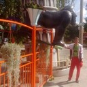 ���������� ������, ���� ������� �������, 55 ���, ������������ ��� ������, ����� � ���������