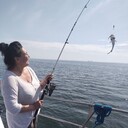  ,   , 53 ,   ,   