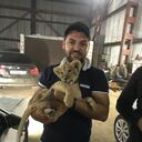 ���������� ����, ���� ������� �����, 38 ���, ������������ ��� ������, ����� � ���������, ���������