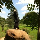 ���������� �������, ���� ������� MARSEL, 55 ���, ������������ ��� ����� � ���������, c�������� ���������