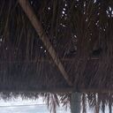 ���������� ������, ���� ������� ����, 41 ���, ������������ ��� ������, ����� � ���������