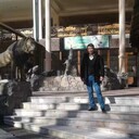 ���������� ����������, ���� ������� ���������, 41 ���, ������������ ��� ������, ����� � ���������