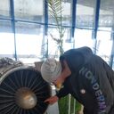 ���������� ���������, ���� ������� �������, 30 ���, ������������ ��� ������, ����� � ���������