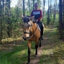 ���������� ������, ���� ������� ���������, 28 ���, ������������ ��� ������, ����� � ���������, c�������� ���������