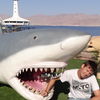  Tel Aviv-Yafo,   Alex, 41 ,   