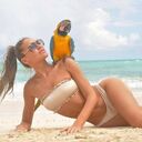 ���������� ������, ���� ������� �����, 27 ���, ������������ ��� ������, ����� � ���������