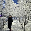 ���������� ����������, ���� ������� ��������, 41 ���, ������������ ��� ������, ����� � ���������, c�������� ���������