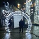 ���������� ����, ���� ������� ������, 49 ���, ������������ ��� ������, ����� � ���������