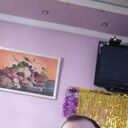   ,   , 37 ,   ,   , 