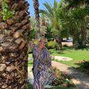 ���������� ������, ���� ������� ���, 42 ����, ������������ ��� ������, ����� � ���������