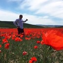 ���������� ������, ���� ������� �������, 29 ���, ������������ ��� ����� � ���������, c�������� ���������, ���������