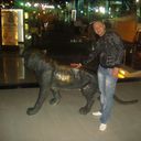 ���������� ������, ���� ������� �������, 42 ����, ������������ ��� ������, ����� � ���������, c�������� ���������