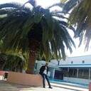  ,   , 41 ,   ,   , c 
