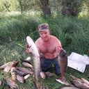  ,   , 53 ,   , 