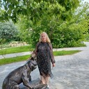 ���������� ������, ���� ������� �������, 75 ���, ������������ ��� c�������� ���������