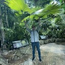  -,   , 30 ,   ,   , c , 
