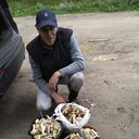 ���������� �����-���������, ���� ������� ������, 44 ����, ������������ ��� ������, ���������