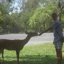 ���������� ������, ���� ������� �������, 42 ����, ������������ ��� ������, ����� � ���������, c�������� ���������