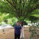  ,   , 40 ,   ,   , c , 