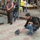  ,   Jamal, 38 ,   ,   , c 
