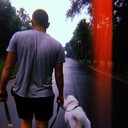 ���������� ���������, ���� ������� ����������, 31 ���, ������������ ��� ������, ����� � ���������, c�������� ���������, ���������