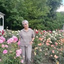 ���������� ��������, ���� ������� �����, 56 ���, ������������ 