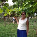  ,   , 61 ,   ,   , c 
