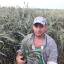  ,   Ion, 50 ,   c 